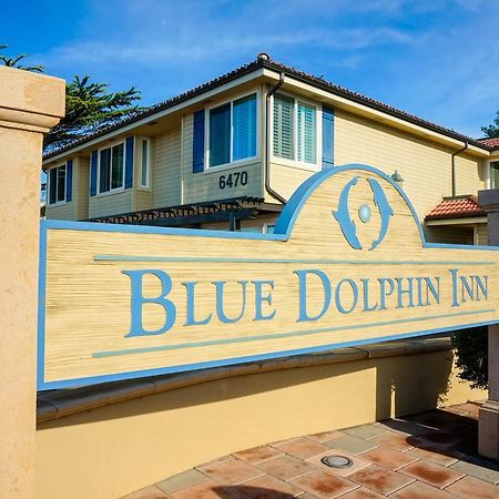 קאמבריה Blue Dolphin Inn מראה חיצוני תמונה